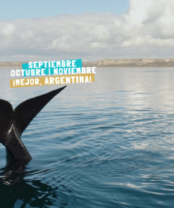 PUERTO MADRYN - NOVIEMBRE