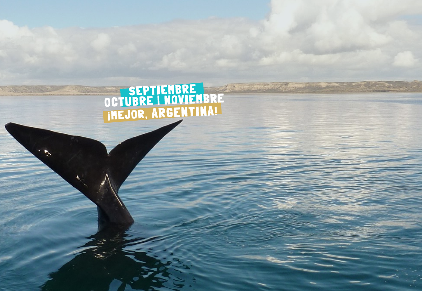 puerto-madryn-octubre-noviembre-0