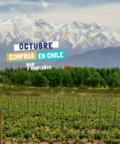 MENDOZA + VIÑA DEL MAR - NOVIEMBRE | DICIEMBRE