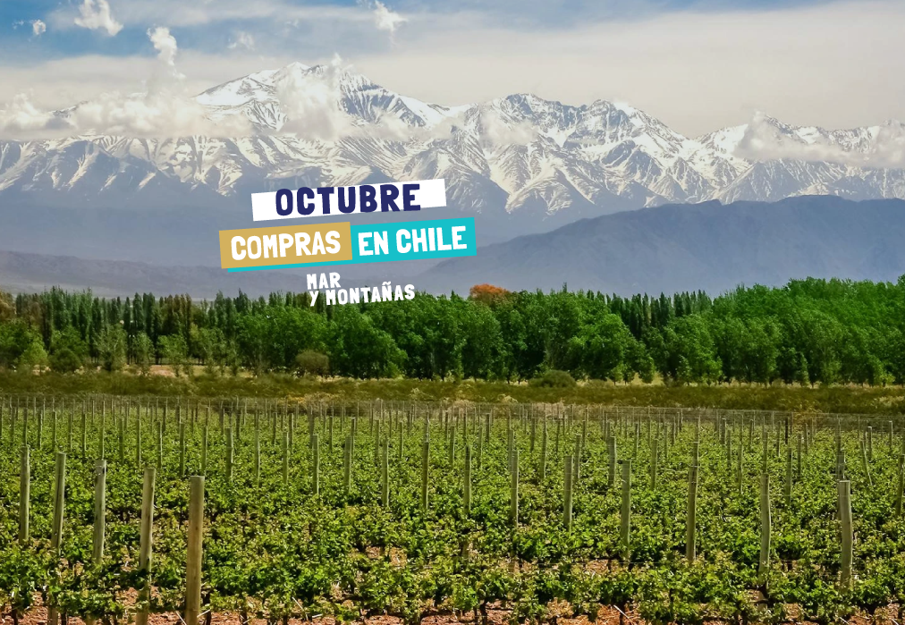 mendoza-via-del-mar-octubre-noviembre-0