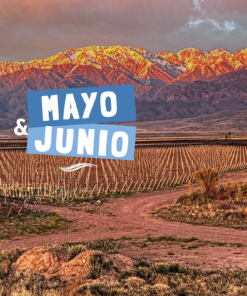 MENDOZA + SAN RAFAEL - MAYO | JUNIO