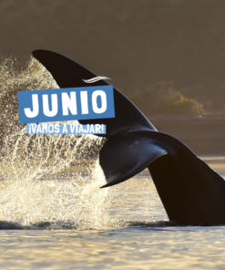 PUERTO MADRYN - JUNIO
