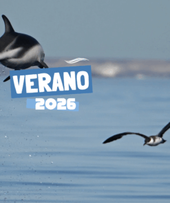 PUERTO MADRYN - VERANO 2026