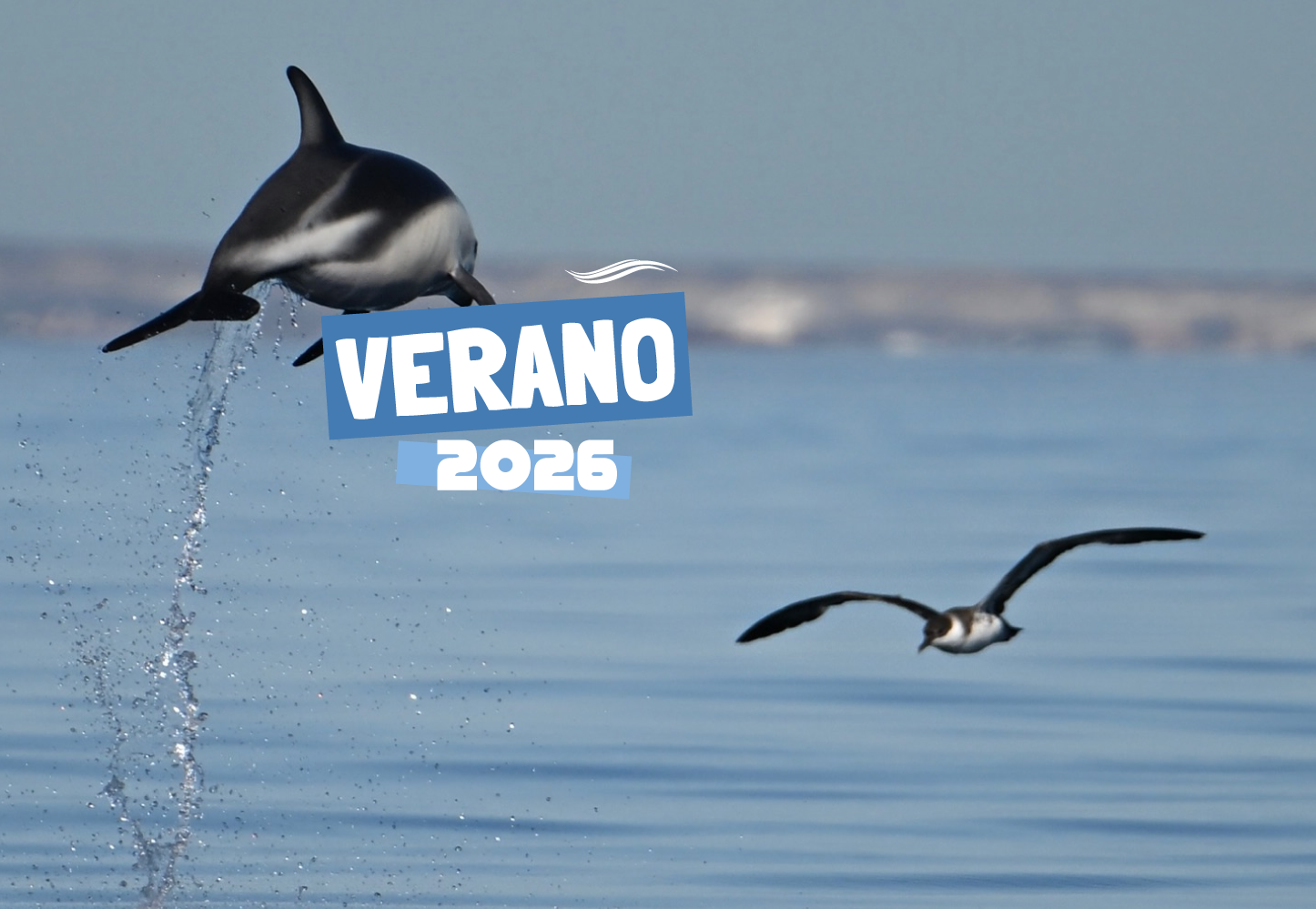 puerto-madryn-verano-2026-0