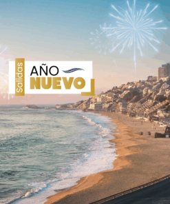 VIÑA DEL MAR - AÑO NUEVO 2025