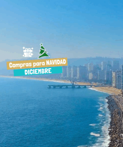 VIÑA DEL MAR - DICIEMBRE