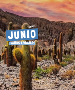 NORTE GRANDE - JUNIO 2026