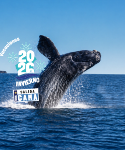 PUERTO MADRYN - JULIO