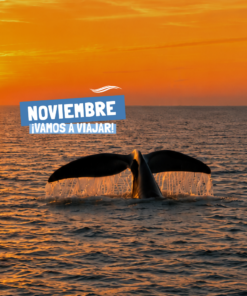 PUERTO MADRYN - NOVIEMBRE 2026