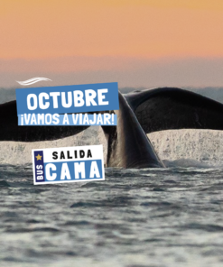 PUERTO MADRYN - OCTUBRE 2026