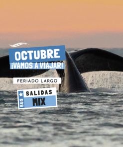 PUERTO MADRYN - OCTUBRE 2026