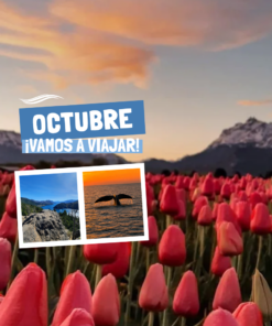 PUERTO MADRYN + ESQUEL + SAN MARTIN DE LOS ANDES - OCTUBRE 2026