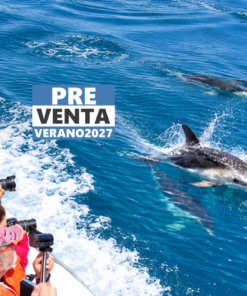PUERTO MADRYN - ENERO - VERANO 2027